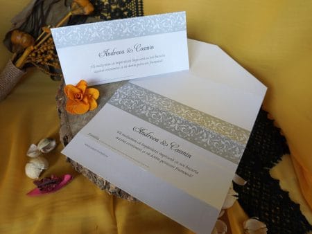 Plicuri de bani argintii carton gri sidefat 9 x 20 cm