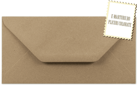 Plicuri craft invitatii felicitare DL Vintage 110 x 220 mm set 20 buc