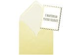 Plicuri crem sidef invitatii nunta sau botez CD DVD 130 x 130 mm set 20 buc