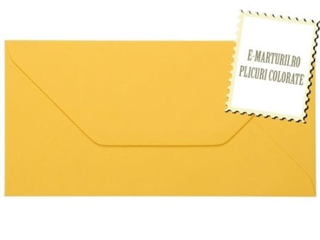 Plicuri galbene invitatii felicitare DL 110 x 220 mm set 20 buc
