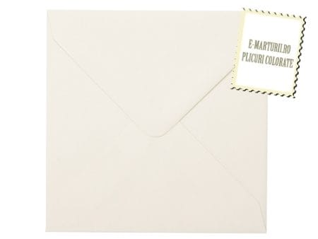 Plicuri ivoire patrate invitatii nunta botez sau felicitari 130 x 130 mm set 20 buc