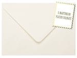 Plicuri ivory invitatii felicitare 82 x 113 mm set 20 buc