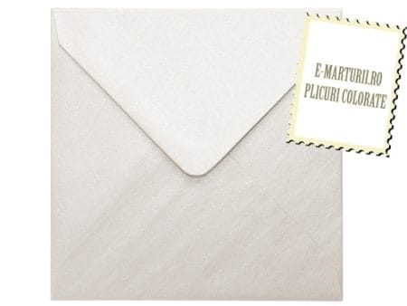 Plicuri ivory sidef invitatii felicitare 155 x 155 mm set 20 buc