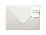 Plicuri ivory sidefat invitatii felicitare 82 x 113 mm set 20 buc