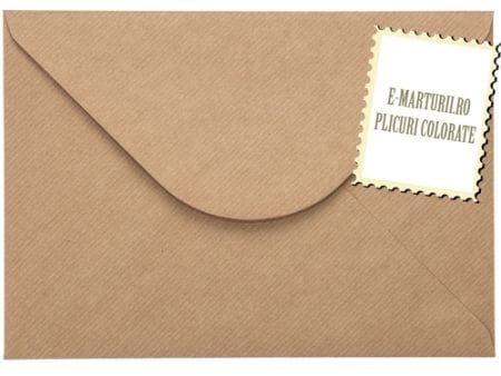 Plicuri maro invitatiei felicitare vintage C5 162 x 229 mm set 20 buc
