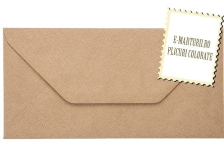 Plicuri maro invitatii felicitare vintage DL 110 x 220 mm set 20 buc