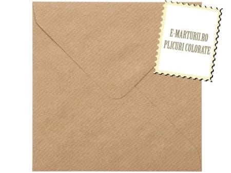 Plicuri maro vintage patrate invitatii felicitare 155 x 155 mm set 20 buc