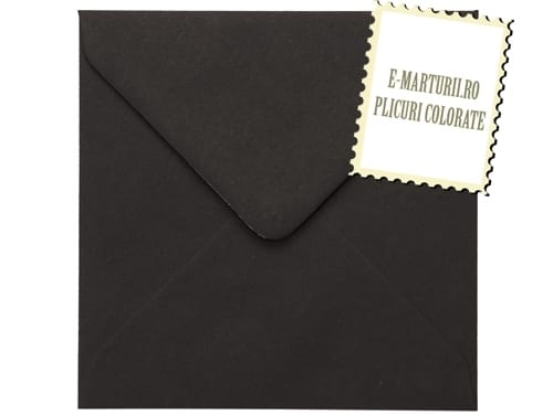 Plicuri negre patrate mici CD DVD 130 x 130 mm set 20 buc Plicuri negre patrate mici CD DVD 130 x 130 mm set 20 buc