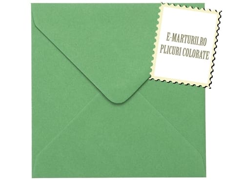 Plicuri verzi patrate invitatii felicitare 155 x 155 mm set 20 buc Plicuri verzi patrate invitatii felicitare 155 x 155 mm set 20 buc