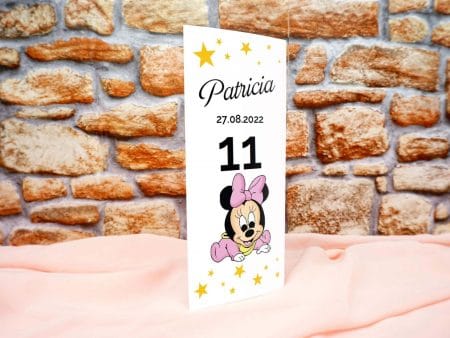 Meniu pentru botez cu Minnie Mouse