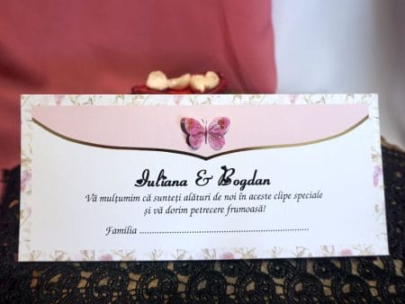 Plicuri de bani carton lucios cu fluturas 9 x 20 cm