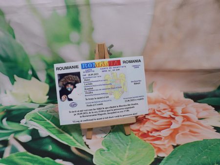 Invitatie magnet Carte Identitate 10 x 15 cm 