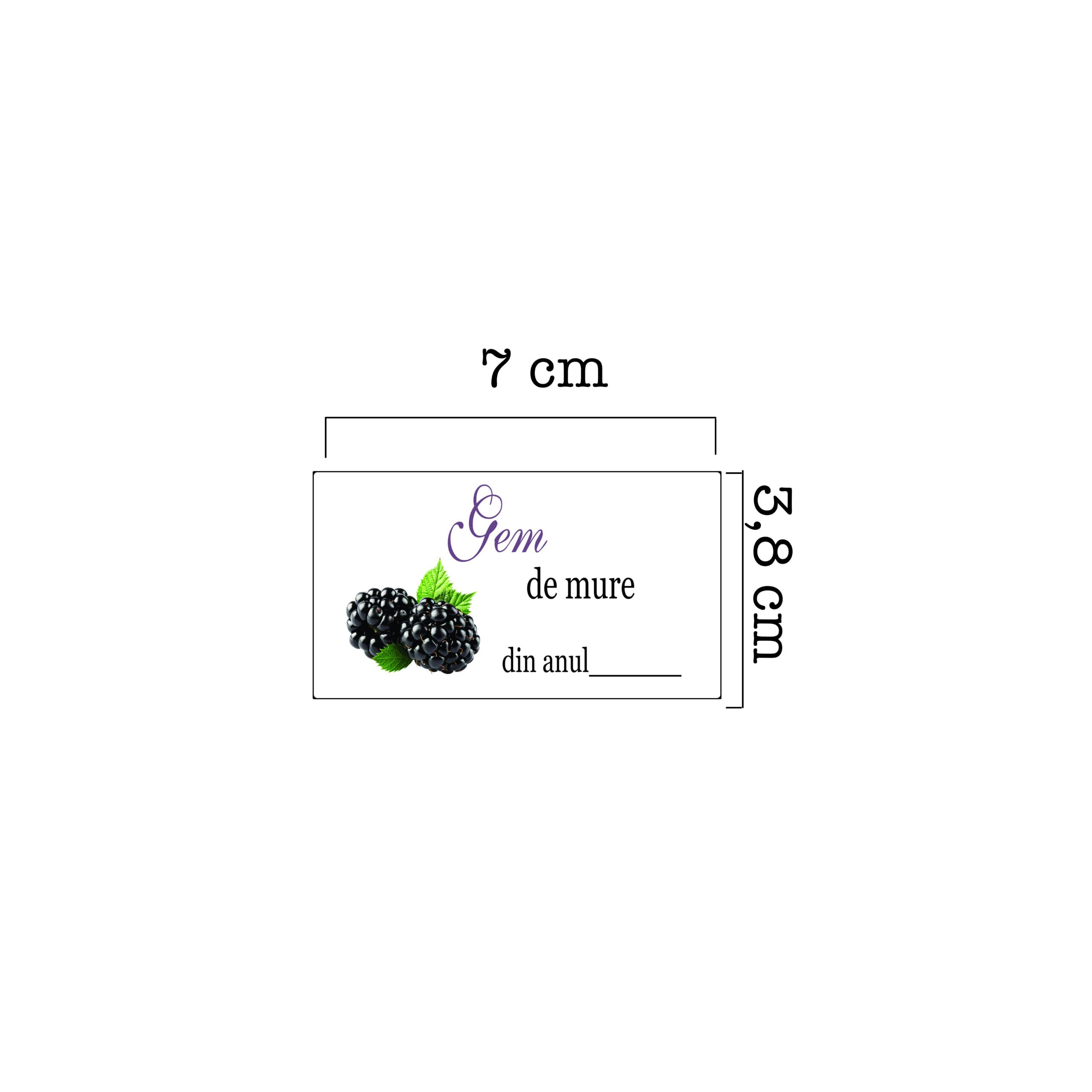 Eticheta 1S x Borcane6