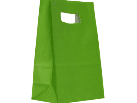 Sacosa hartie cu maner nuanta verde deschis 14x7x21cm