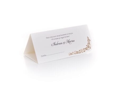 Plicuri bani elegante nunta 9 x 20cm auriu