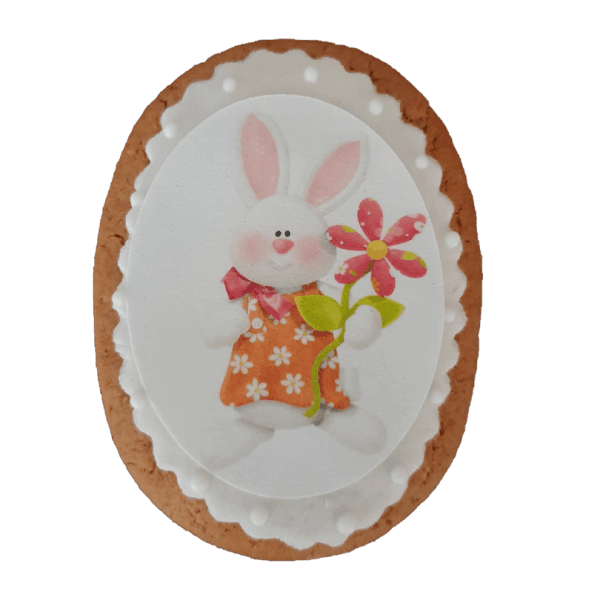 Biscuite Turta dulce iepuras cu floricica Biscuite Turta dulce iepuras cu floricica